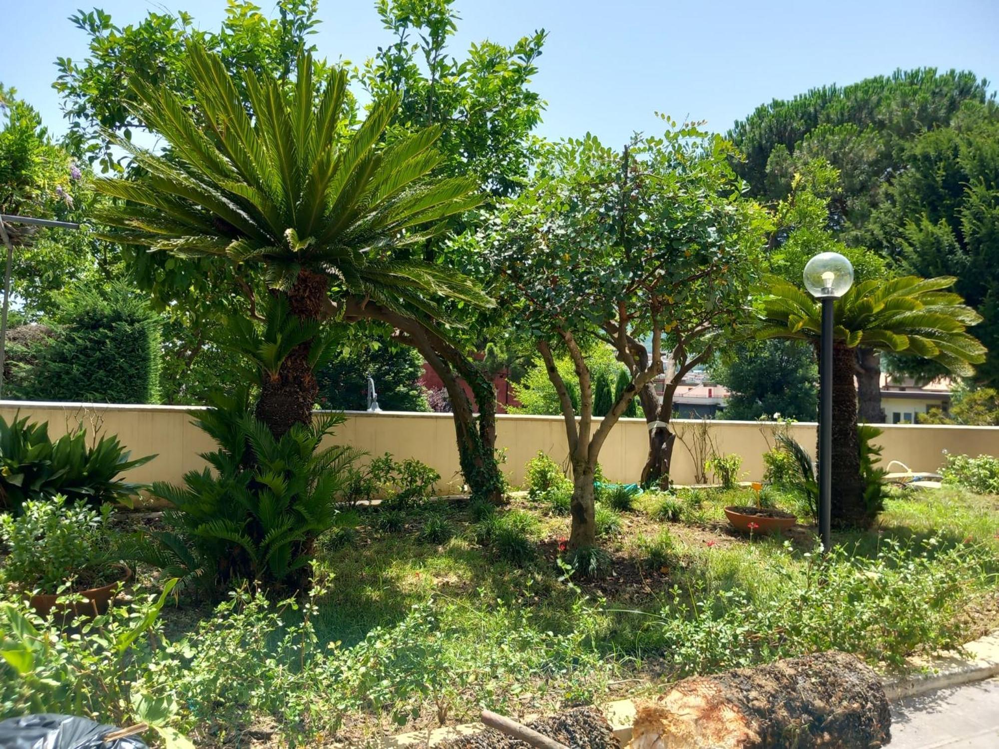 Villa Maria Cristina D'Amico Cava De' Tirreni Exterior photo